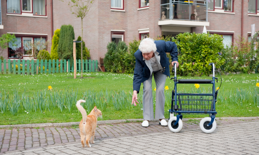 wat is een rollator